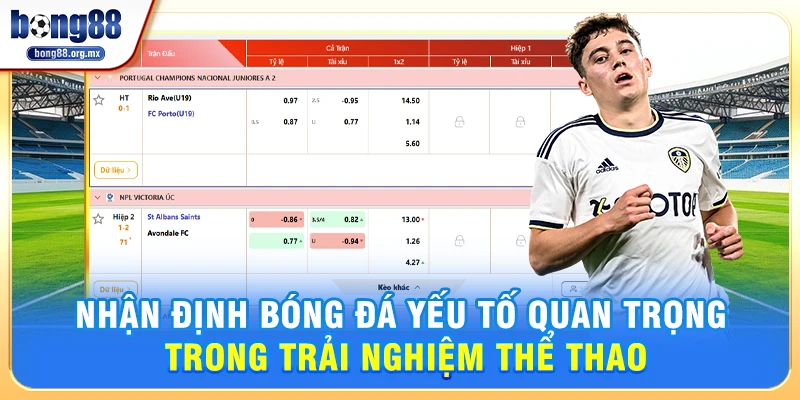 Nhận Định Bóng Đá – Yếu Tố Quan Trọng Trong Trải Nghiệm Thể Thao 