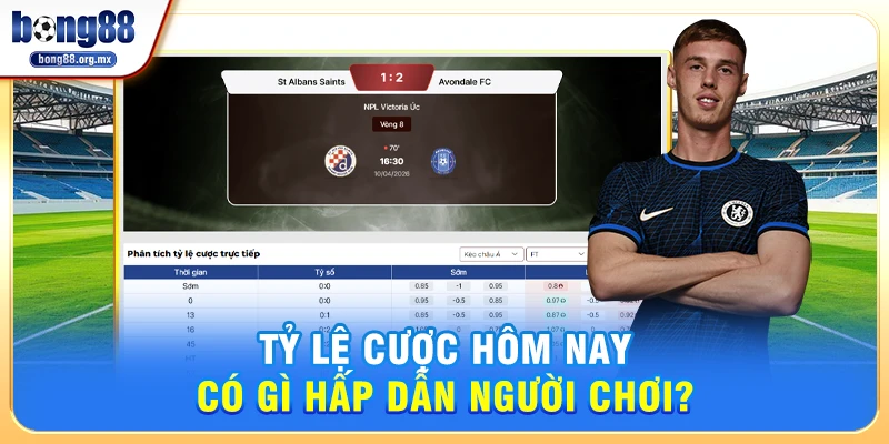 Tỷ Lệ Cược Hôm Nay Có Gì Hấp Dẫn Người Chơi?